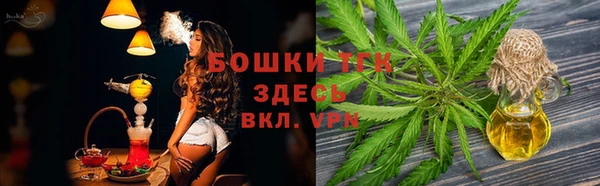 амф Козловка