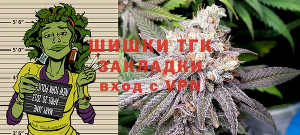 амф Козловка