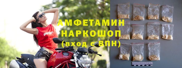 амф Козловка