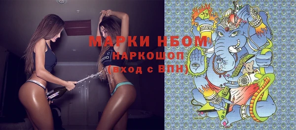 амф Козловка