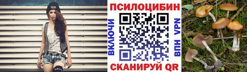 kraken ТОР Костерёво Псилоцибиновые грибы прущие грибы